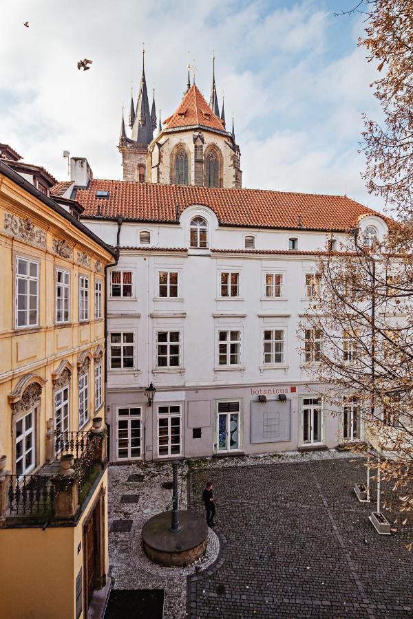 U Cerneho Medveda- At The Black Bear Apartment Prague Luaran gambar